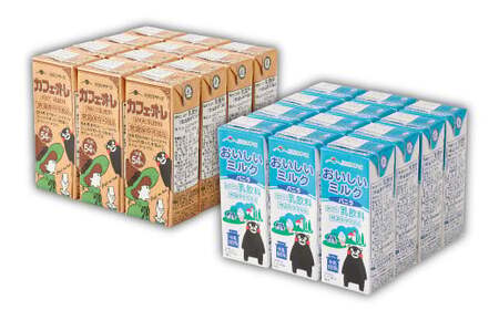 【3か月連続定期便】 カフェオレ200mlとおいしいミルクバニラ200ml 各12本ずつ（計24本）×3回 計72本 カフェオレ コーヒー コーヒー飲料 ミルク バニラ風味 紙パック 飲料 乳飲料 定期便 長期保存 熊本県