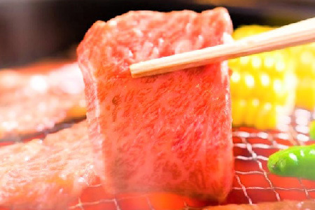 【A4～A5】佐賀牛焼肉用 1kg(500g×2P)(H112112)