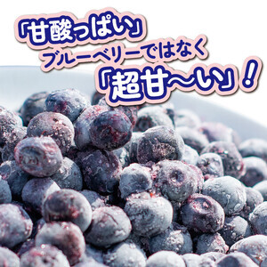 冷凍 ブルーベリー 約1850g 【 ブルーベリー 】