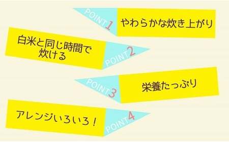 やわらかい玄米 900g 米 こめ コメ ごはん 栄養豊富 簡単 便利 美容 健康 新食感 もちもち 安心安全なヤマトライス　H074-639
