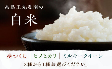 糸島おむすびセット 糸島市 / いとしまごころ 米 佃煮 海苔 おむすび おにぎり [ASD025]