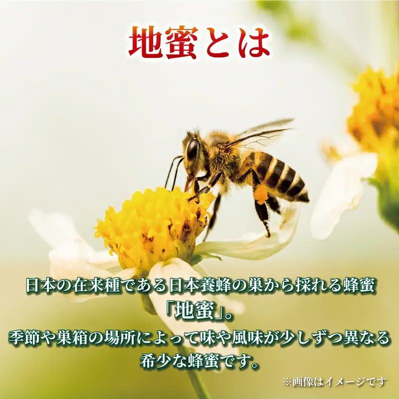 訳あり 地蜜 はちみつ 180g 元気や ハチミツ わけあり 訳アリ 訳あり品 非加熱 はちみつ 国産はちみつ 純粋はちみつ 生はちみつ 生蜂蜜 蜂蜜 ちみつ ハニー honey 簡易包装 甘い 数量限定 産地直送 国産 愛媛 宇和島 F011-176007