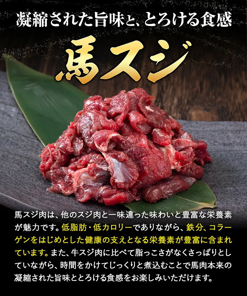 馬肉 馬スジ 500g × 2パック 3kg 3ヶ月定期便 五右衛門フーズ 《お申込み月の翌月から出荷開始》 