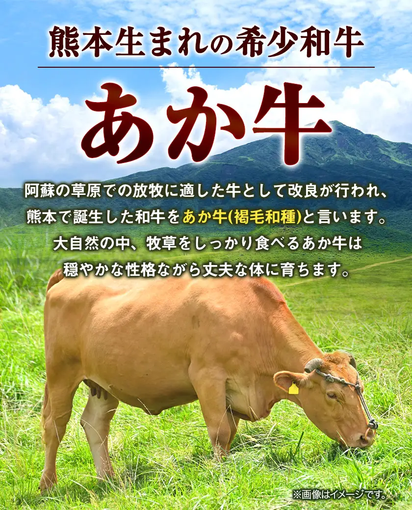 あか牛 焼肉用カット 3kg 6ヶ月定期便 五右衛門フーズ 《お申込み月の翌月から出荷開始》 