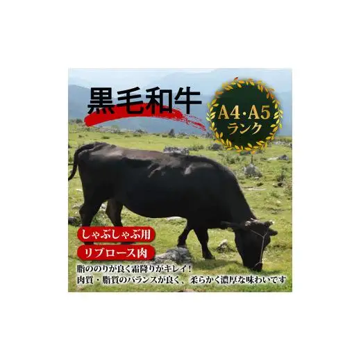 【 しゃぶしゃぶ 】 しゃぶしゃぶ黒毛和牛12ヶ月