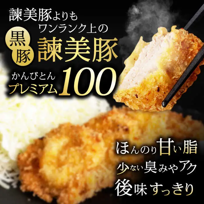 黒豚諫美豚プレミアム100 ヒレカツ用 600g / 豚肉 肉 ヒレ 黒豚 とんかつ トンカツ / 諫早市 / 株式会社土井農場 [AHAD078]