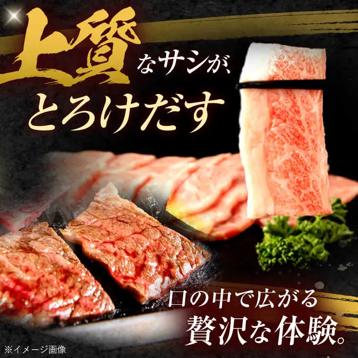【3回定期便】長崎和牛 バラカルビ 焼肉用 600g / 牛肉 ぎゅうにく 肉 和牛 国産牛 焼き肉 やきにく?/ 諫早市 / 西日本フード株式会社 [AHAV031]