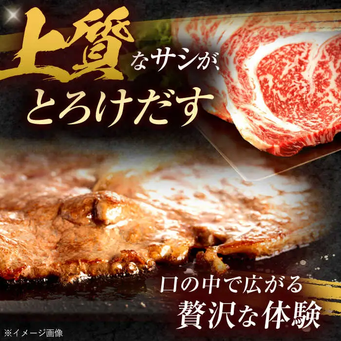 【3回定期便】長崎和牛 サーロインステーキ 600g（200g×3枚）/ 牛肉 ぎゅうにく 肉 和牛 国産牛 サーロイン ステーキ すてーき?/ 諫早市 / 西日本フード株式会社 [AHAV037]