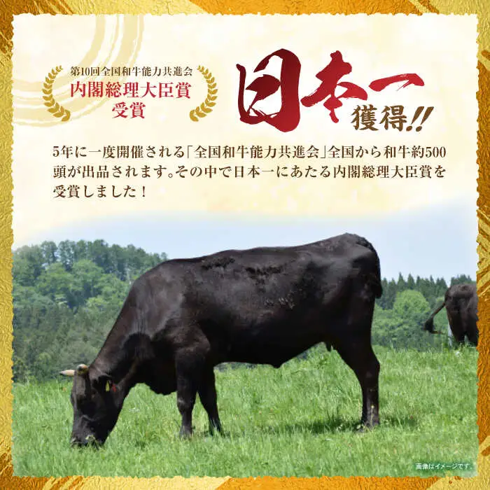 【3回定期便】長崎和牛 切落し 300g×2パック / 長崎和牛 切落し 和牛 国産牛 牛肉 / 諫早市 / 有限会社長崎フードサービス [AHDD006]