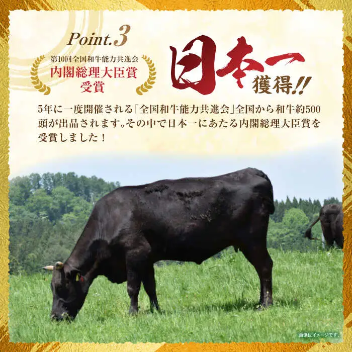 【3回定期便】長崎和牛肩ローススライス300g / 長崎和牛 和牛 国産牛 牛肉 すき焼き しゃぶしゃぶ / 諫早市 / 有限会社長崎フードサービス [AHDD009]