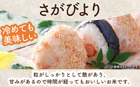 令和7年産 さがびより 白米 5kg（一等米） [HDC001]白米 精米 白米 白米 米 白米 佐賀 白米
