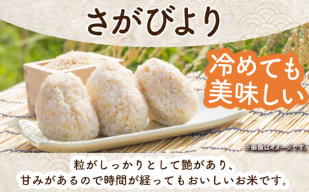 令和7年産 さがびより 玄米 5kg（一等米） [HDC002] 玄米 米 玄米 米 玄米 玄米 玄米 玄米