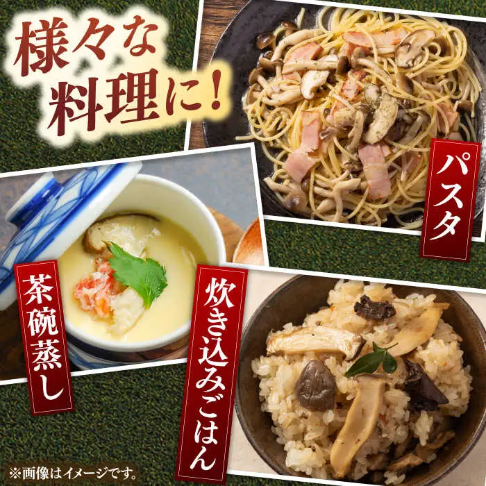 乾燥椎茸 スライス 3袋セット 桂川町/オドラ株式会社 [ADBA013] 乾燥しいたけしいたけスライス 干ししいたけ 国産