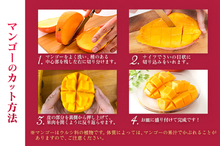 【定期便3回】2027年出荷 2L×2玉マンゴー 太陽のタマゴマンゴー F145-27