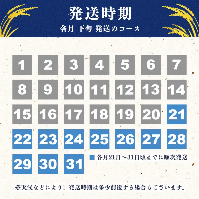 【2026年11月下旬】《先行予約》新米 令和8年産 はえぬき 20kg（5kg×4袋） 清流寒河江川育ち 山形産はえぬき 山形県産 2026年産 精米 20キロ　046-C-JA011-202611下
