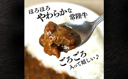 牛すじカレー 200g×6個 茨城県 ブランド牛 常陸牛 使用 521