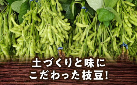 【毎年7月から順次発送】枝豆 3kg 野菜 枝豆 おつまみ[AECM004]