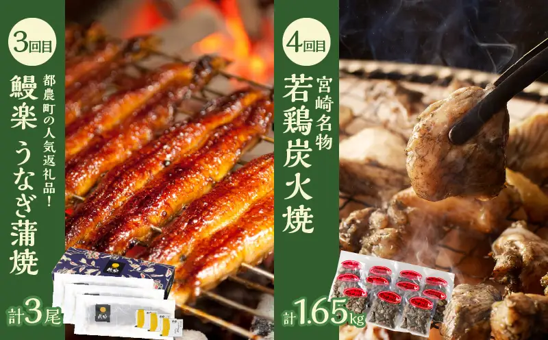≪6か月お楽しみ定期便≫都農町定期便(竹) 肉 加工品 鰻 国産_T999-0066