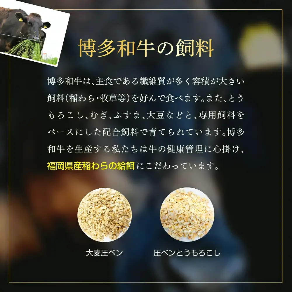 博多和牛ヒレステーキ150g　(150g×1枚) Y54