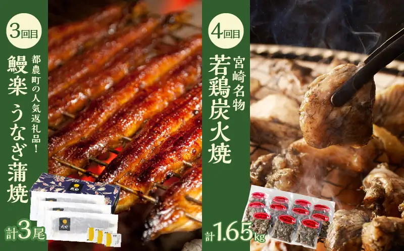 ≪6か月お楽しみ定期便≫都農町定期便(松) 肉 加工品 鰻 国産_T999-0076
