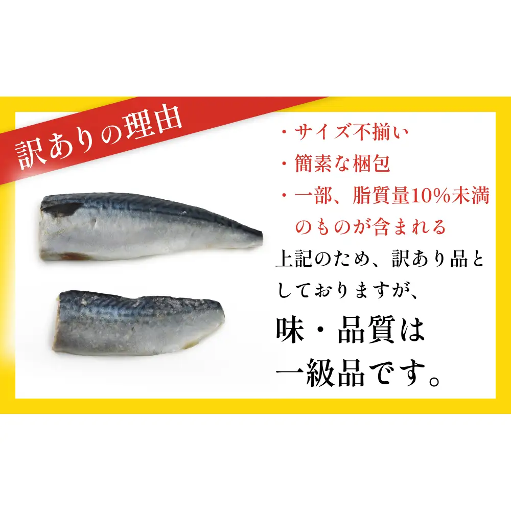 訳あり 無塩 サバ フィレ 3.0kg (30枚前後)  さば 鯖 切り身 宮城県 石巻市