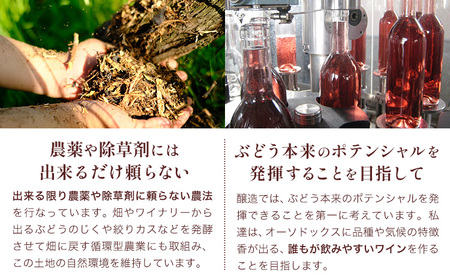白ワイン 飛鳥シリーズ ソーヴィニヨン・ブラン ＆ リースリング セット 720ml × 2本