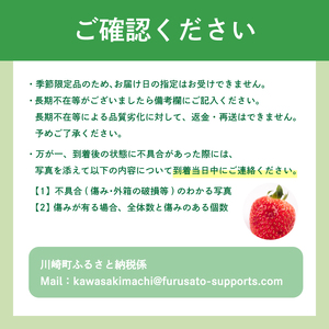 【2026年12月上旬から2027年1月末発送】あまおう 2パック いちご 苺 NGK019