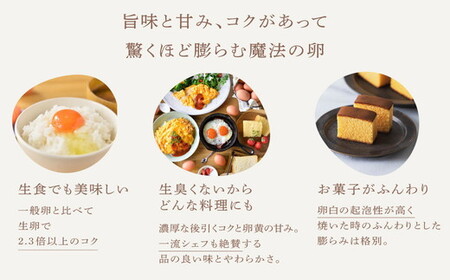 【9ケ月定期便】磨宝卵GOLD/贈答箱 30個入｜ たまご 卵 鶏卵 定期便 栃木県 宇都宮市 ※離島への配送不可