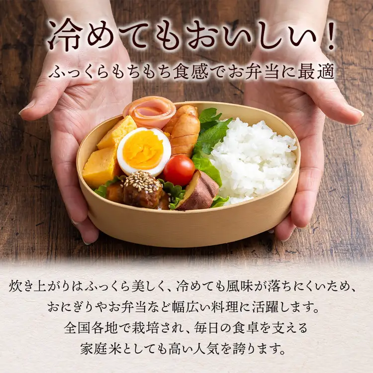 定期便 【10ヵ月連続】令和7年産 猪苗代町ブランド米 いなわしろ天のつぶ 10kg ｜ 米 お米 精米 白米 福島 大粒 寿司 和食