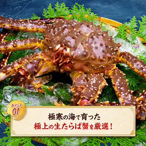 26-33 【甲羅組】カット済み特大生たらば蟹足