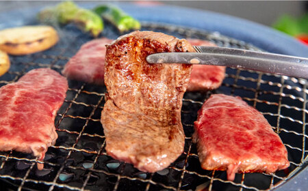 長崎和牛1kg食べ比べ定期便（ローストビーフ・焼肉・すき焼き）  冷凍配送 牛 牛肉 赤身 加工品 冷凍 真空パック 詰め合わせ 食べ比べ 贅沢セット あか牛 赤身肉 ローストビーフ 焼肉 すき焼き しゃぶしゃぶ 和牛 お祝い 年末年始 記念日 [WCR011]