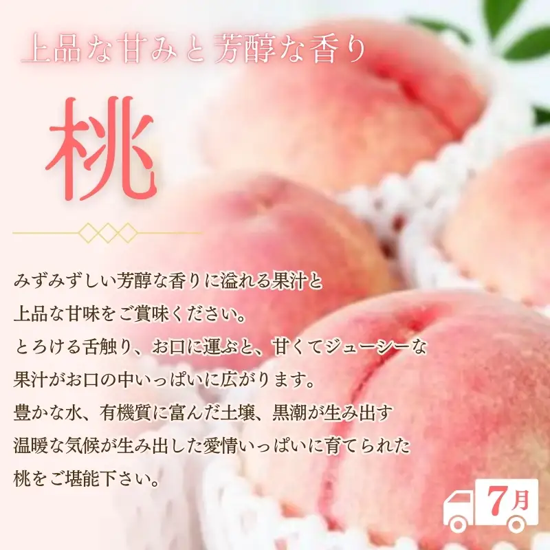 【全3回】紀州和歌山産 旬のフルーツ定期便（いちご・桃・巨峰） 【tkb400】