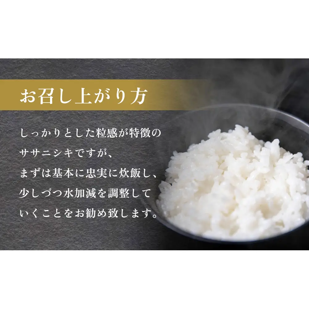 令和7年産 石巻産 ササニシキ 精米 10kg 米 お米 白米 コメ ご飯 主食