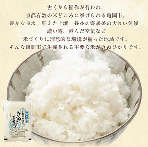 【3回定期便】【無洗米】丹波産キヌヒカリ 6kg 真空パック 無洗