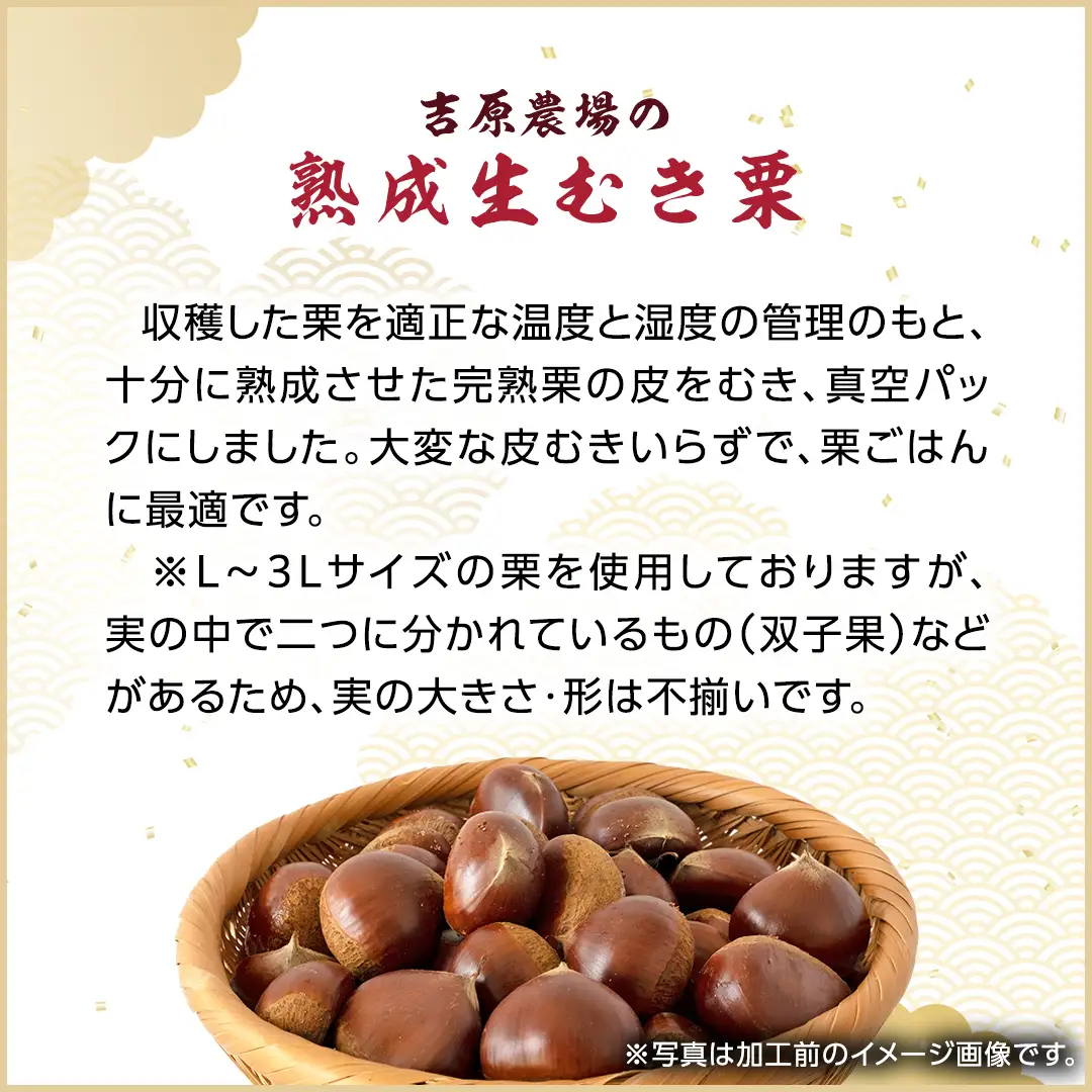 《 2026年 収穫分 》 熟成 生むき栗 ( 120g × 10袋 ) 先行予約 吉原農場 国産 完熟 栗 くり クリ 栗ごはん 栗きんとん 和栗 生栗 おやつ 和菓子 果物 フルーツ 贈答 ギフト 旬 秋の味覚 秋 冬 正月 おせち 小分け [FC005sa]