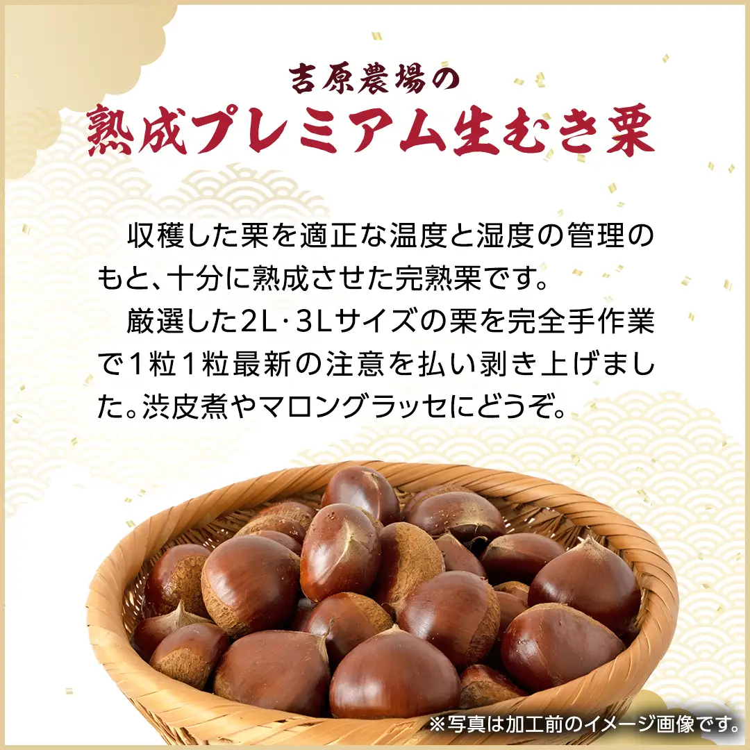 《 2026年 収穫分 》 熟成 プレミアム 生むき栗 ( 渋皮付き 500g × 1袋 ) 先行予約 吉原農場 国産 完熟 栗 くり クリ 栗ごはん 栗きんとん 和栗 生栗 おやつ 和菓子 果物 フルーツ 贈答 ギフト 旬 秋の味覚 秋 冬 正月 おせち 小分け [FC007sa]