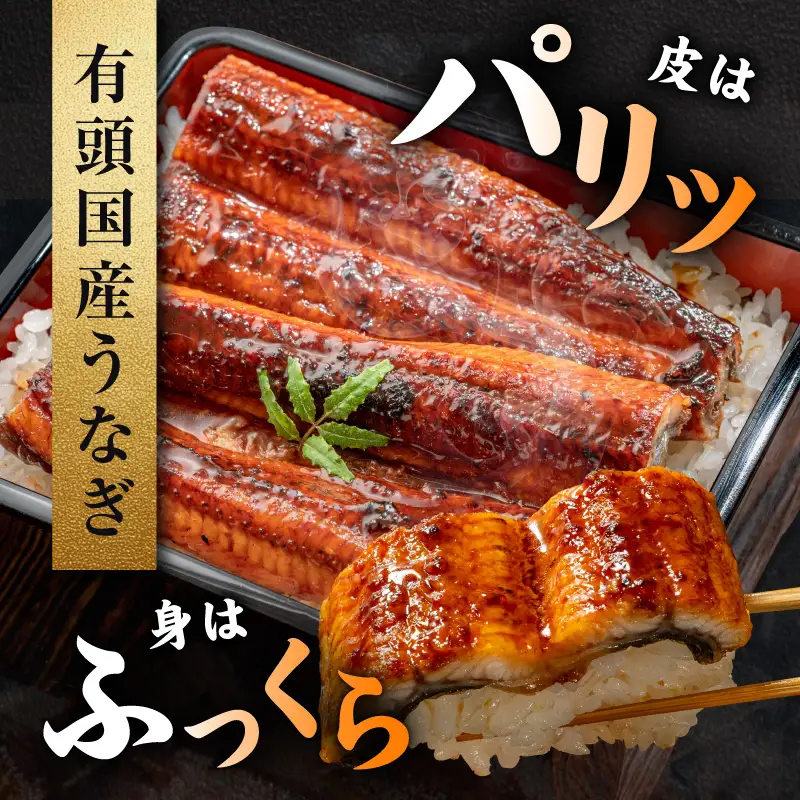 老舗【五郎藤】 関西風地焼き 国産有頭旨鰻 250g×2尾