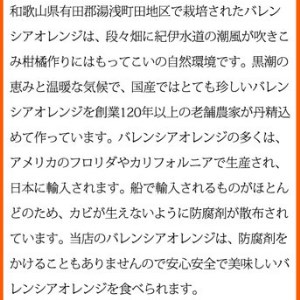 秀品 希少な国産バレンシアオレンジ 5kg