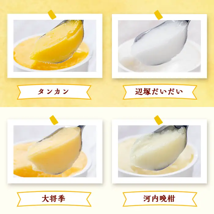 【A83003】南のくだもの王国 かごしま フルーツジェラート 食べ比べ セット (8種 8個入り) 国産 アイス スイーツ デザート お菓子 冷凍 ギフト 甘夏 大将季 【農地所有適格法人株式会社P＆Y'sLabo】