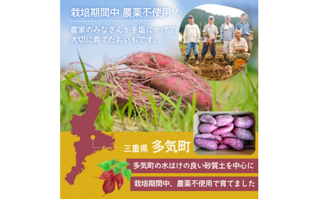≪訳あり≫ 栽培期間中農薬不使用 サツマイモ 6kg 紅はるか 無農薬 さつまいも サツマイモ キズアリ ワケアリ ワケアリ わけありさつまいも詰め合わせ 芋 いも 三重県 多気町 GE‐02