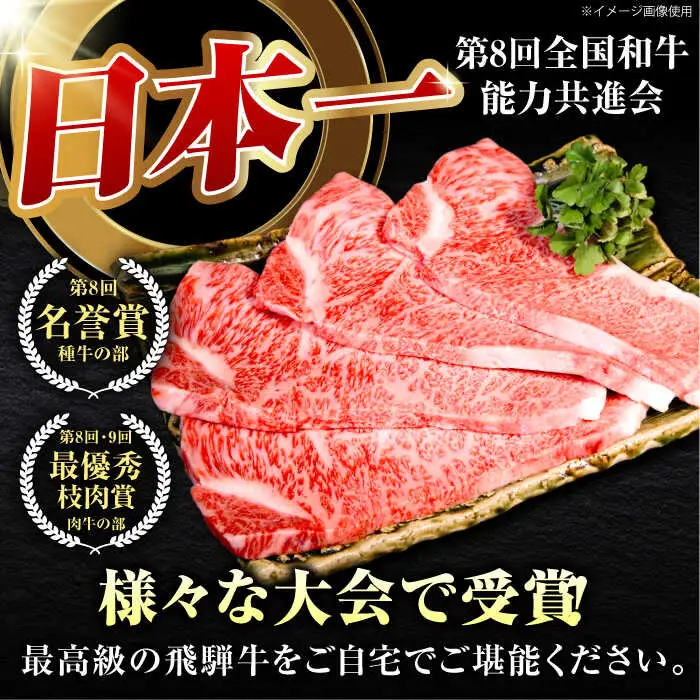 【12回定期】特選飛騨牛5等級サーロインステーキ800g [AVAG010] 飛騨牛 サーロインステーキ