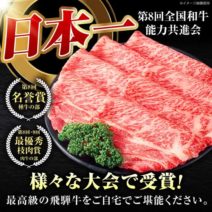 【3回定期】特選飛騨牛ステーキ&すきやき用 1kgセット[AVAG011] 飛騨牛 定期便