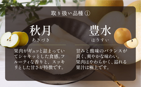 梨 3kg 一流青果店厳選 豊橋 梨