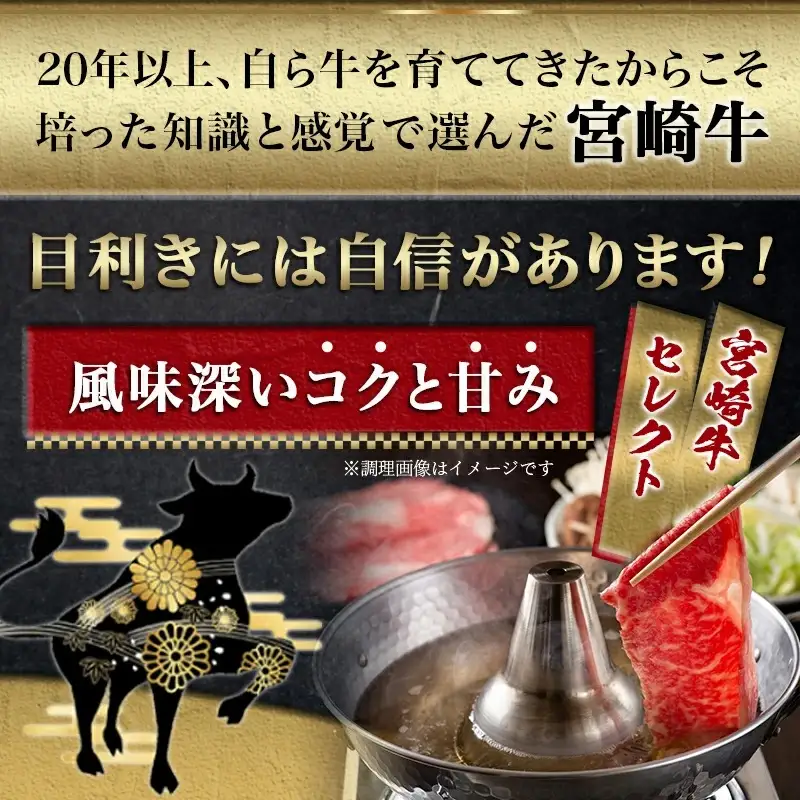 宮崎牛切り落とし500g〔12-6503〕_(都城市) 宮崎牛 切り落とし スライス すき焼き しゃぶしゃぶ 牛丼など 500g 250g×2P