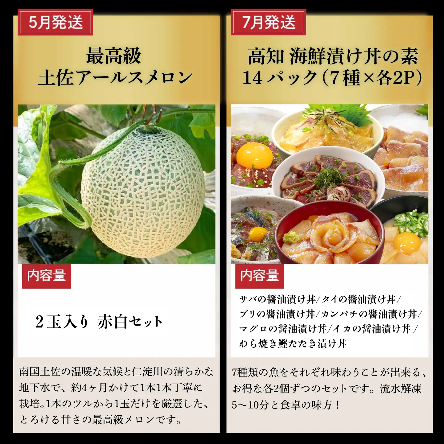 【全6回定期便】土佐市まるごとセット （奇数月配送） 高知県土佐市 【土佐市役所】 [BQCD016]