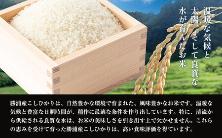 令和8年産 勝浦産 コシヒカリ 白米 5kg 中村米店