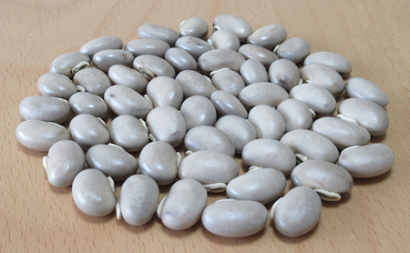 きな粉ムクナ豆八升豆国産無農薬きな粉【300g×1袋】