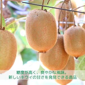 ＜先行受付　2026年発送＞香緑　キウイフルーツ　約1.2kg（化粧箱）