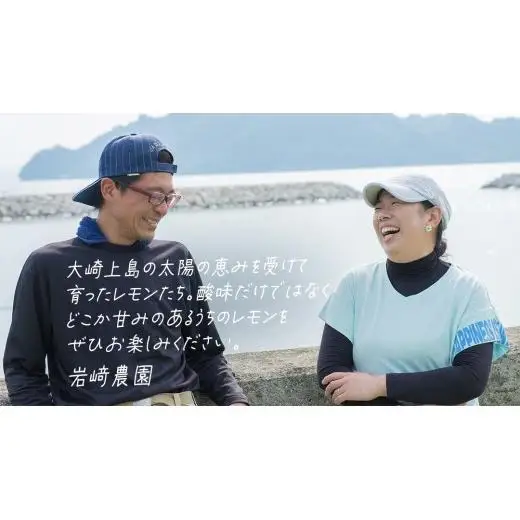 【先行予約】 もぎたてフレッシュ！ せとうちレモン 約3kg 2026年12月中旬～2027年1月発送 ワックス防腐剤不使用 皮まで丸ごと食べられる
