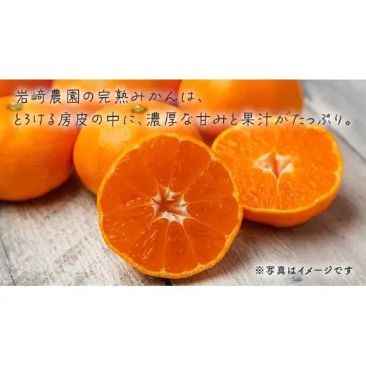 【先行予約】瀬戸内産 島の 完熟 みかん 詰め合わせ 5kg ( 45～55個程度 ) 【12月中旬～1月発送】